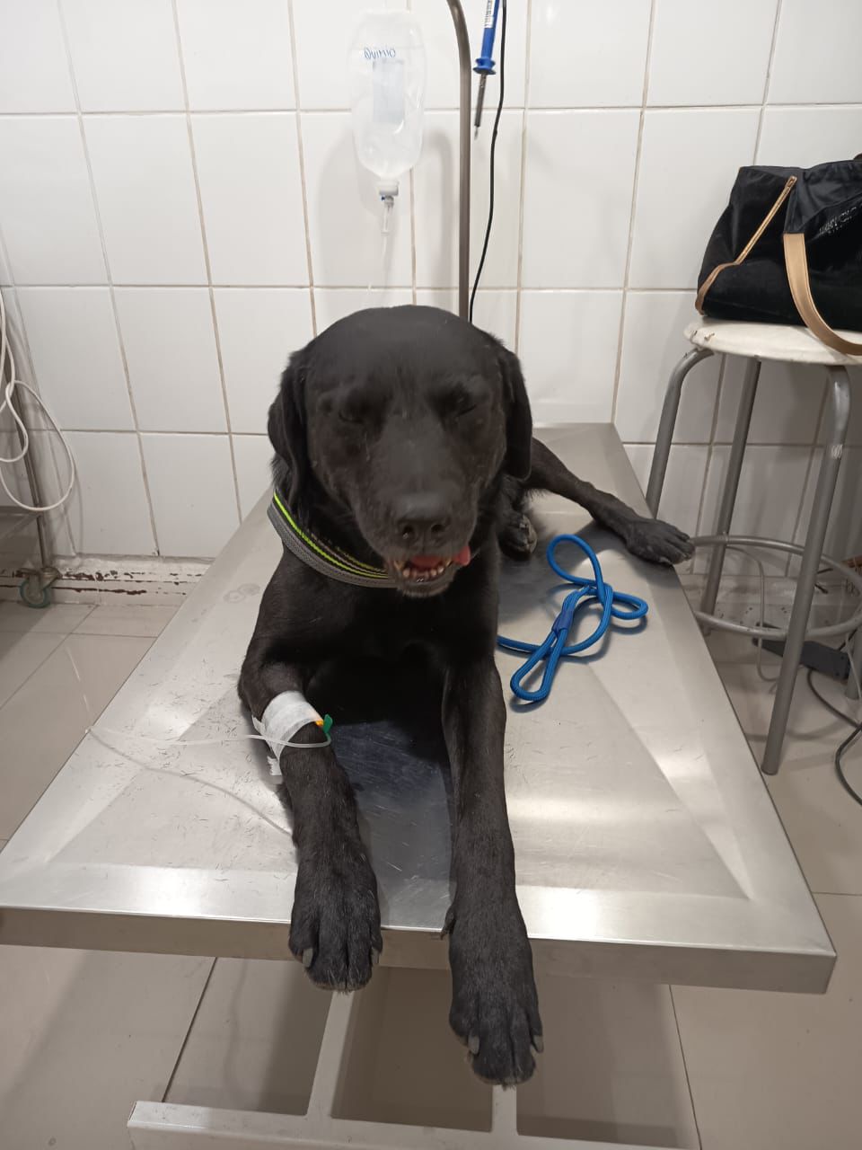Negrito