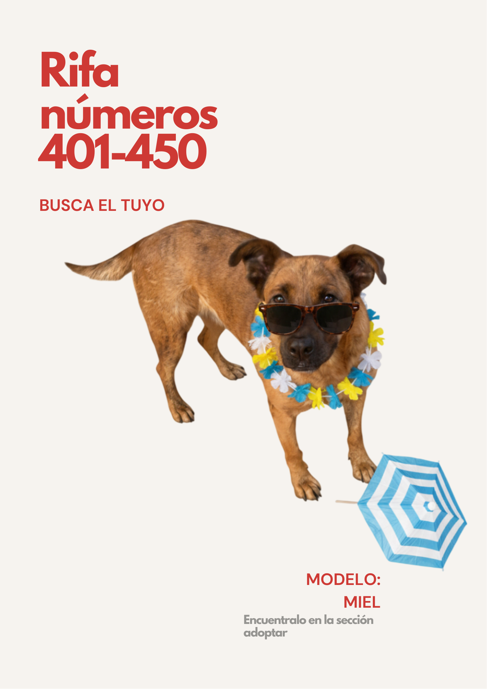 Rifa Solidaria 401-450