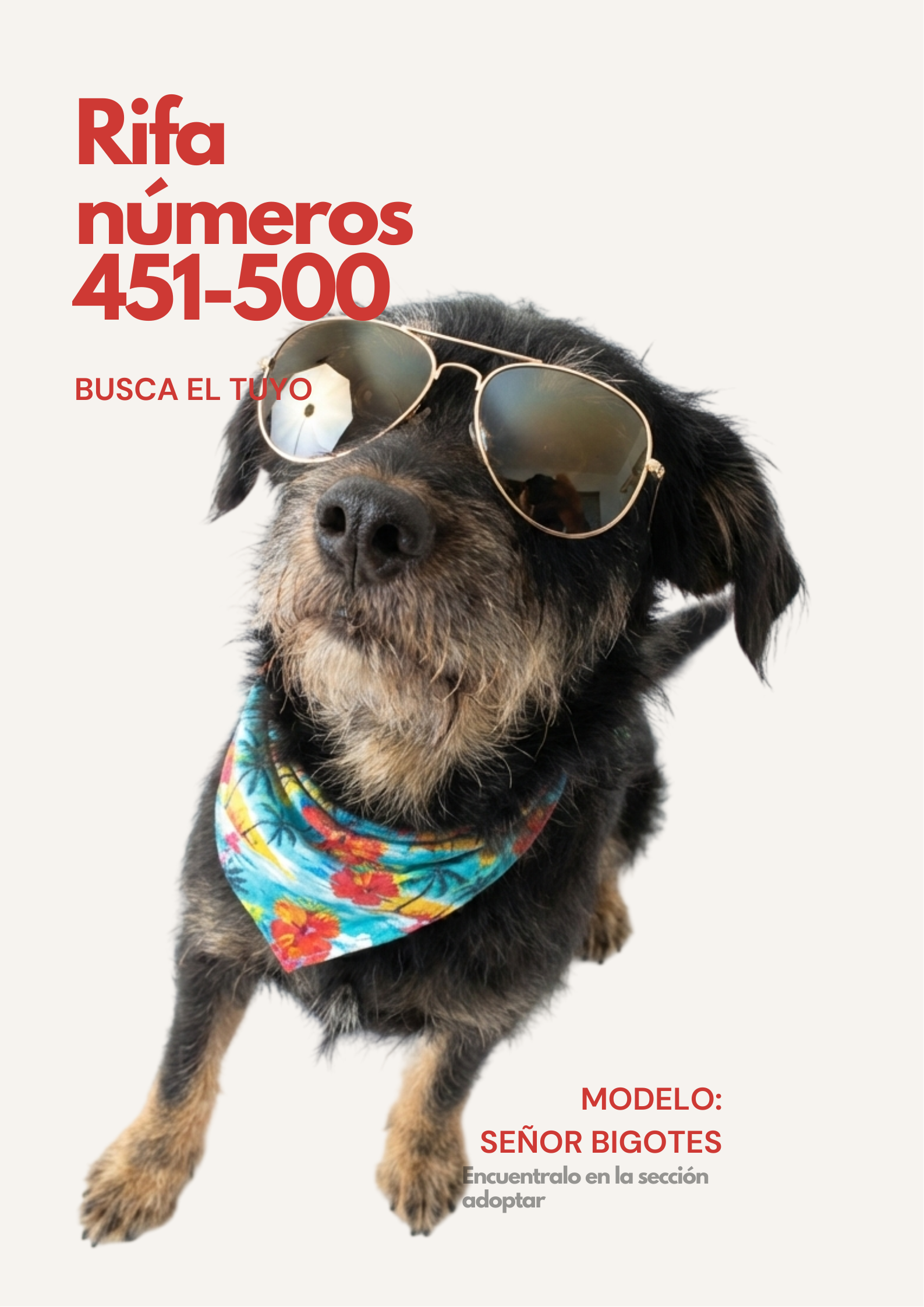 Rifa Solidaria 451-500