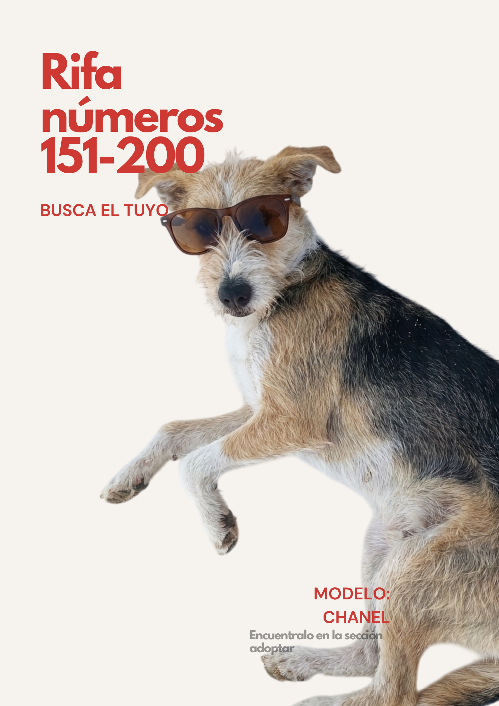 Rifa Solidaria 151-200