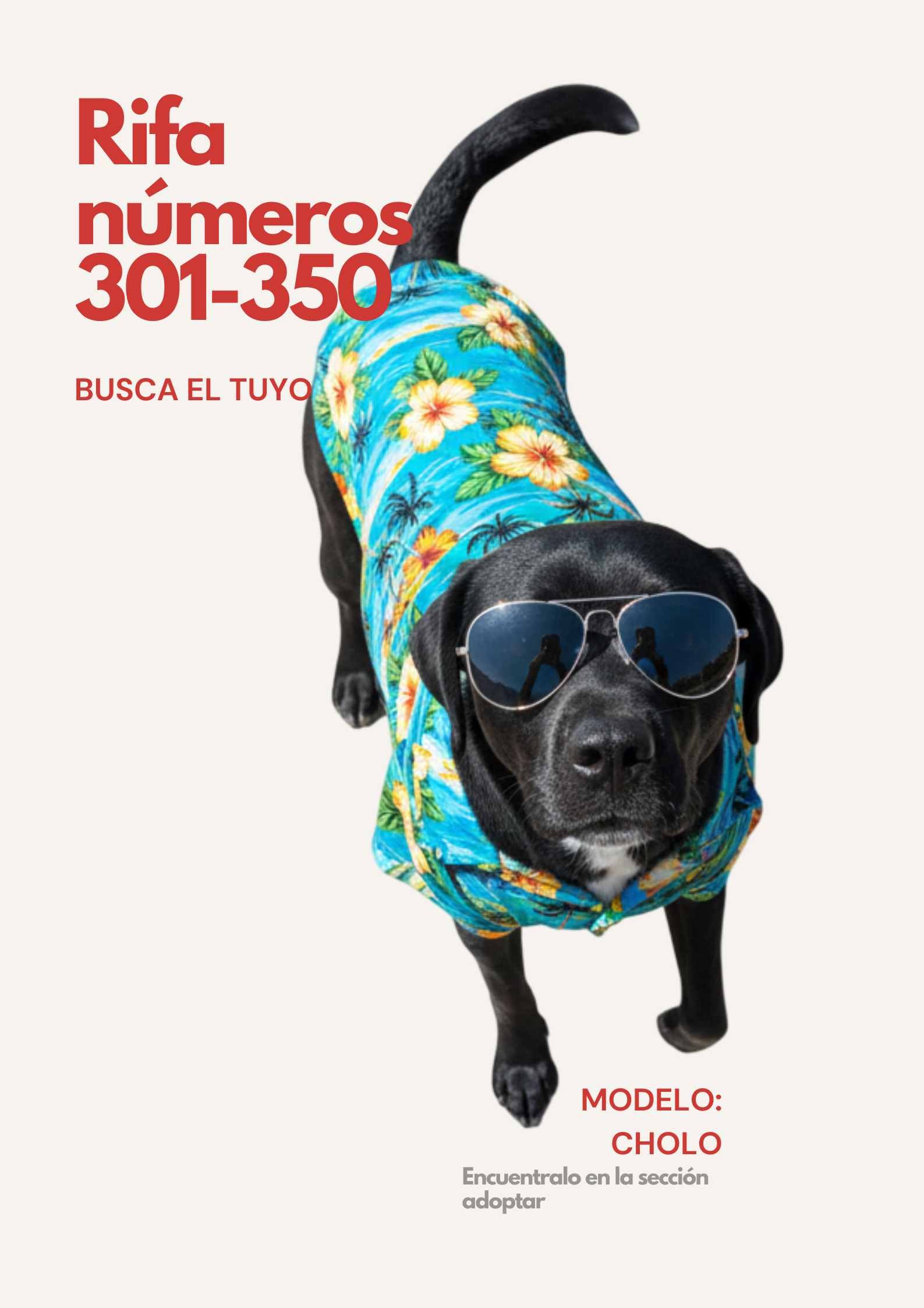 Rifa Solidaria 301-350