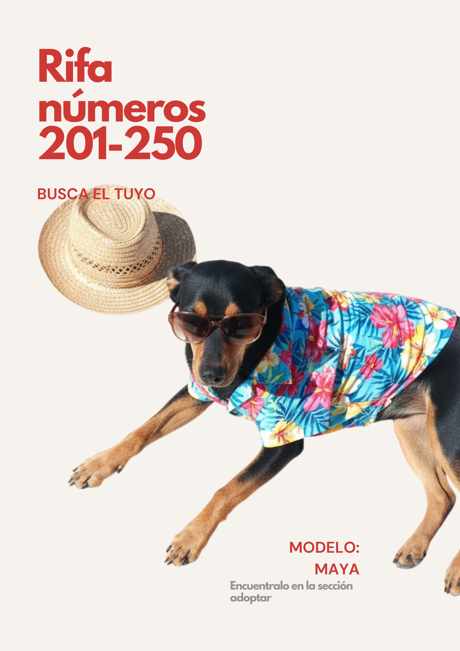 Rifa Solidaria 201-250