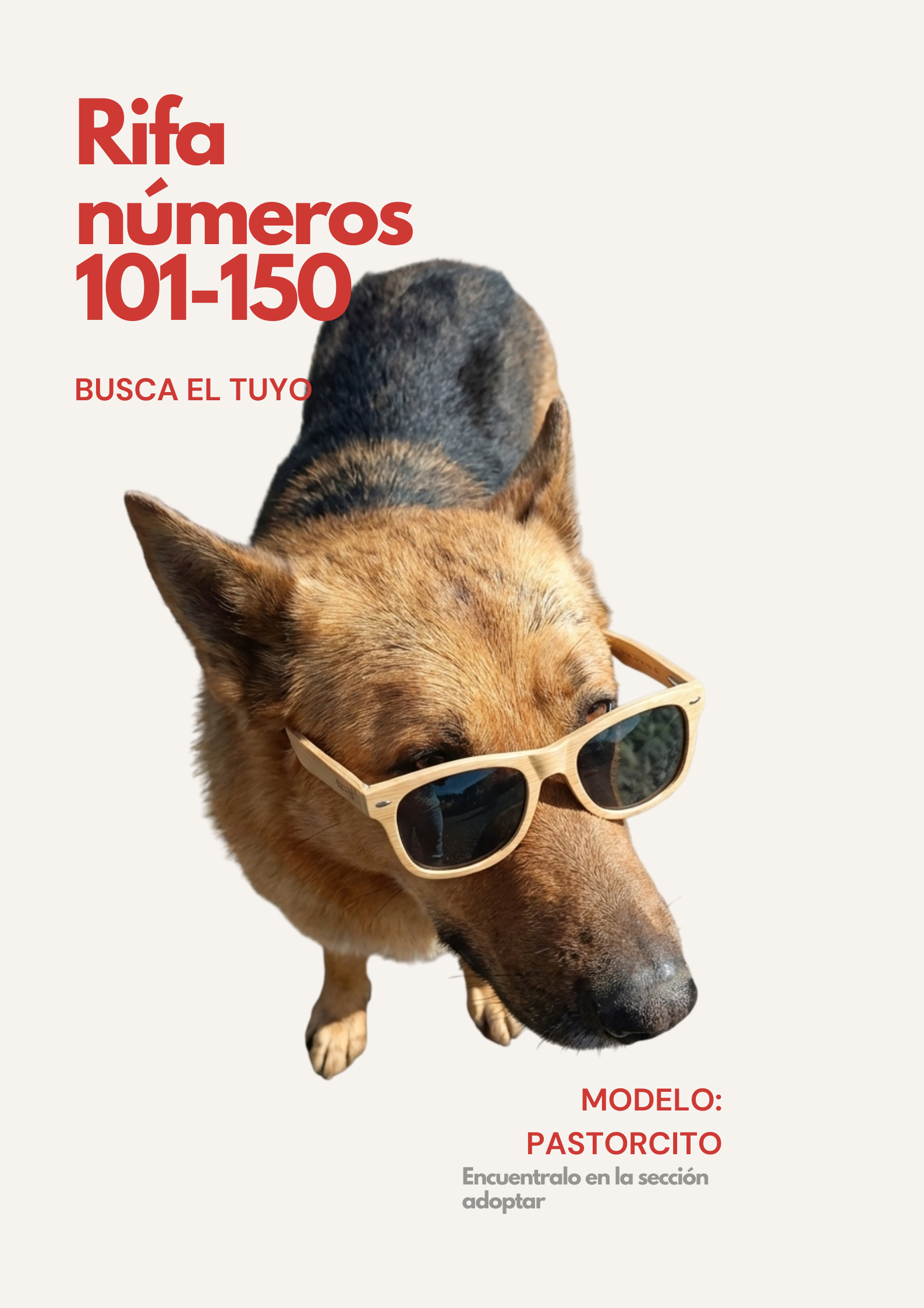 Rifa Solidaria 101-150