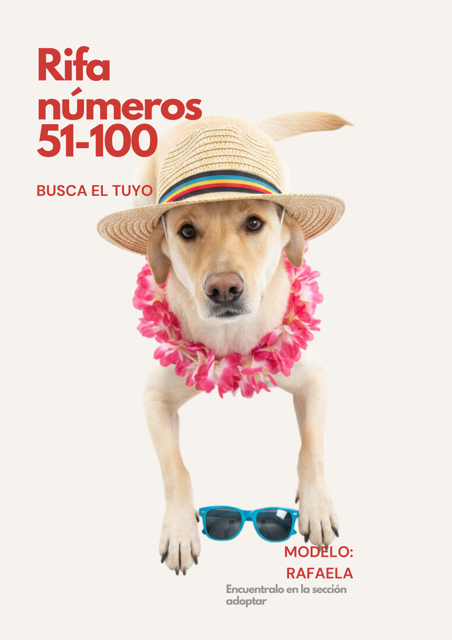 Rifa Solidaria 51-100