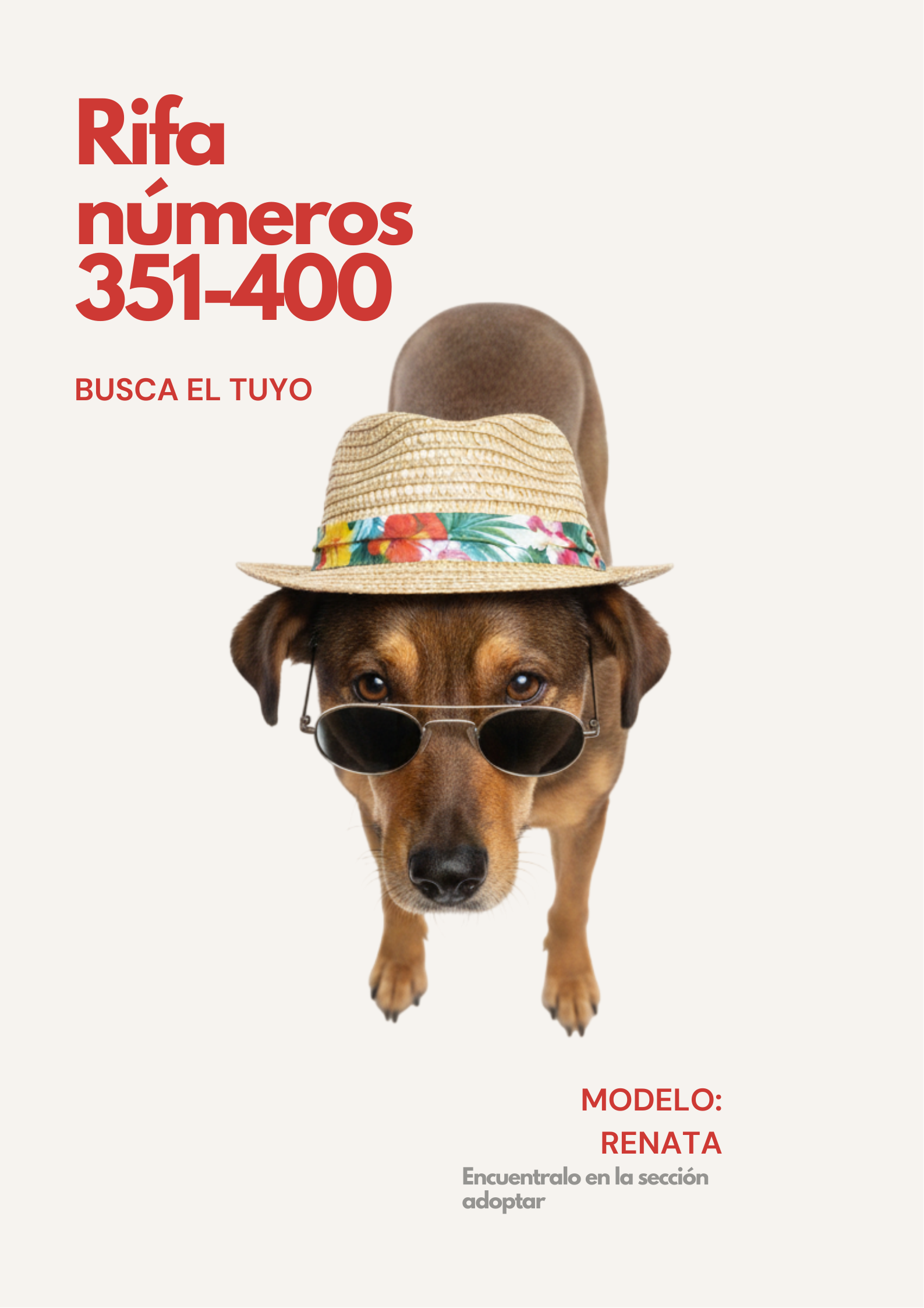 Rifa Solidaria 351-400