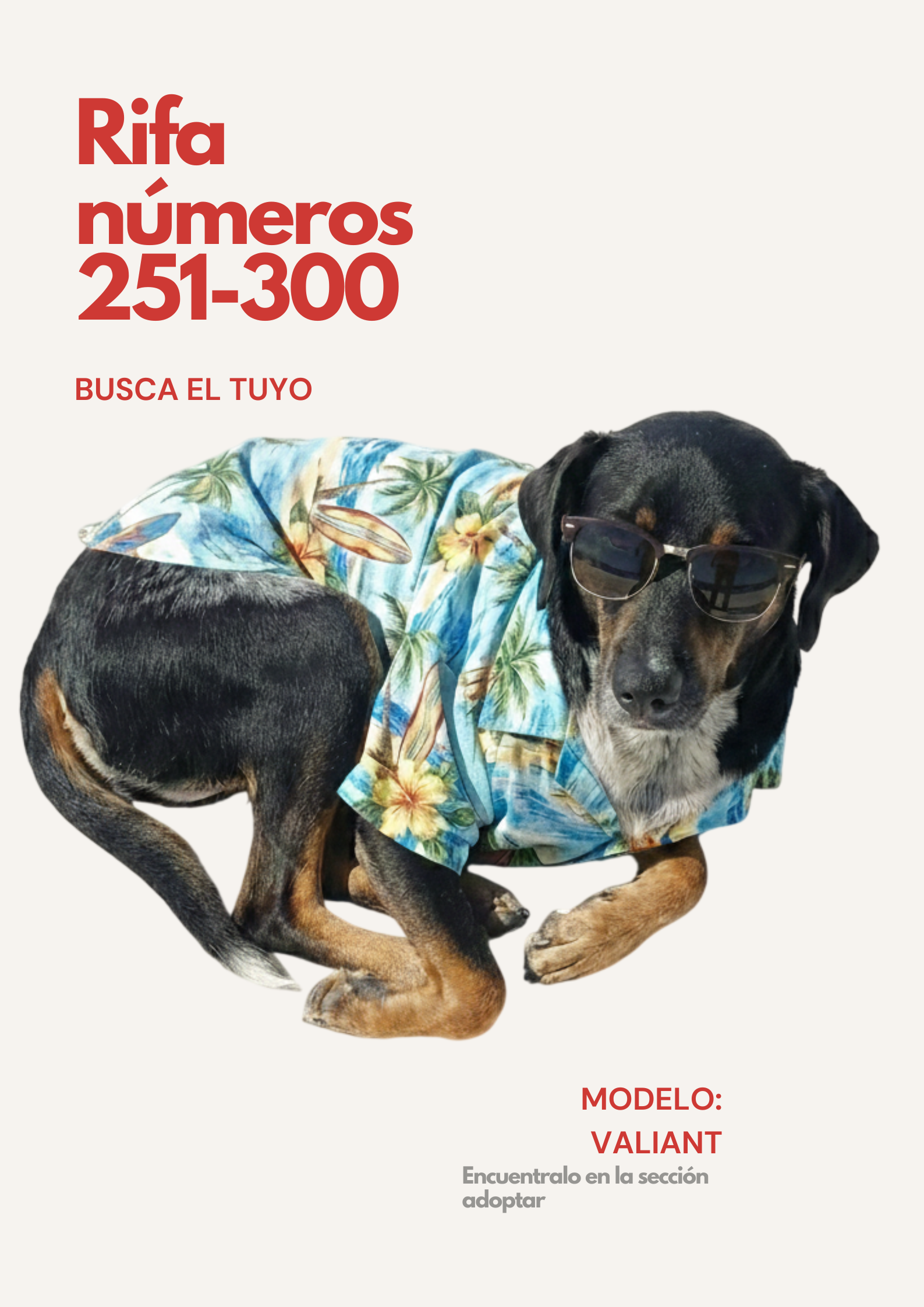 Rifa Solidaria 251-300